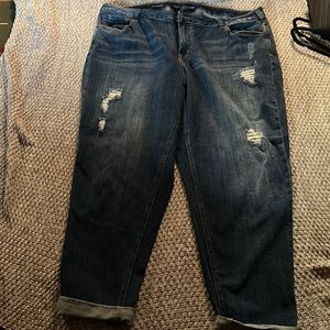 Lane Bryant Boyfriend Distressed Jeans